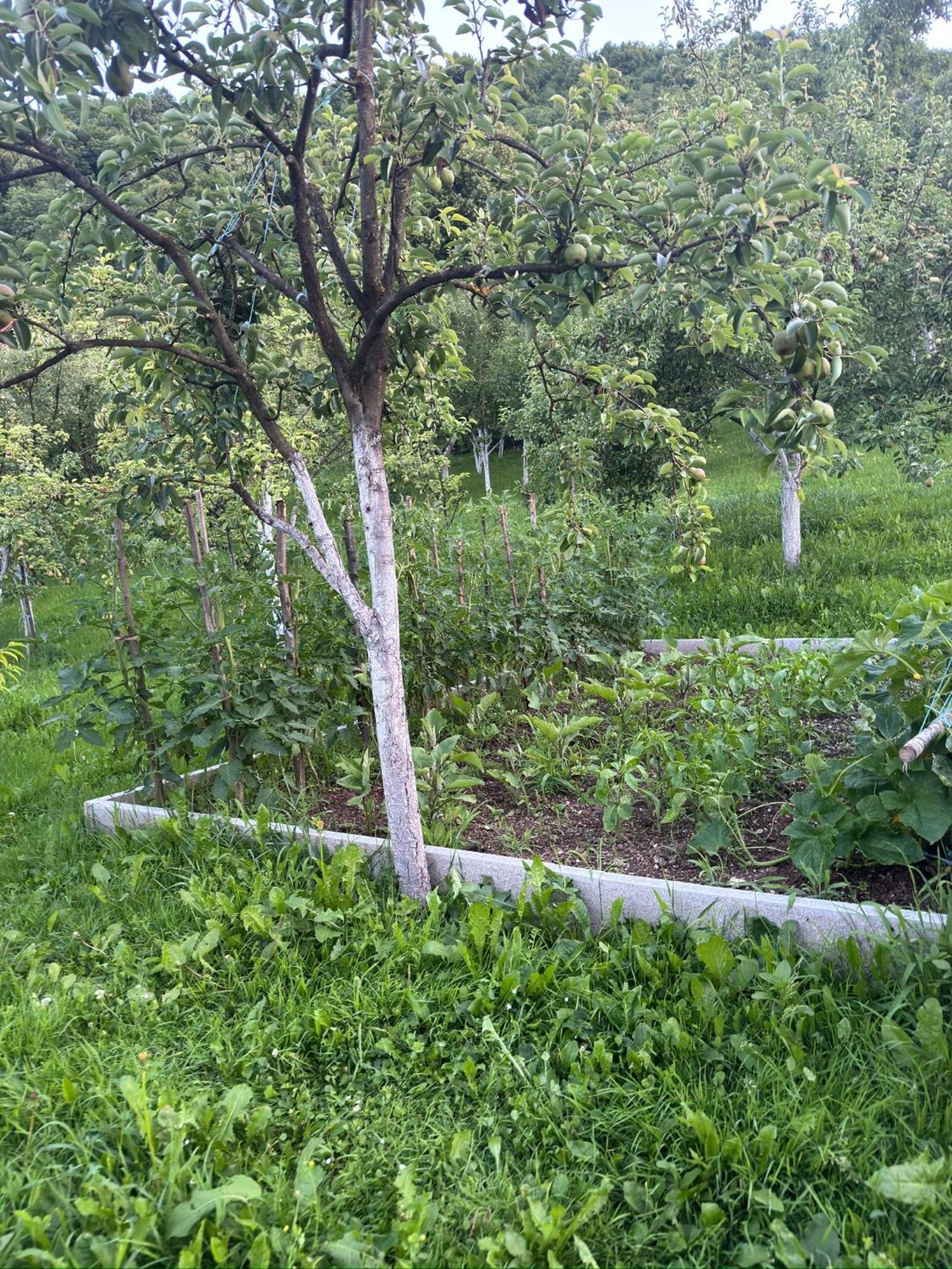 Resting House Oaza Villa Bihać Eksteriør billede